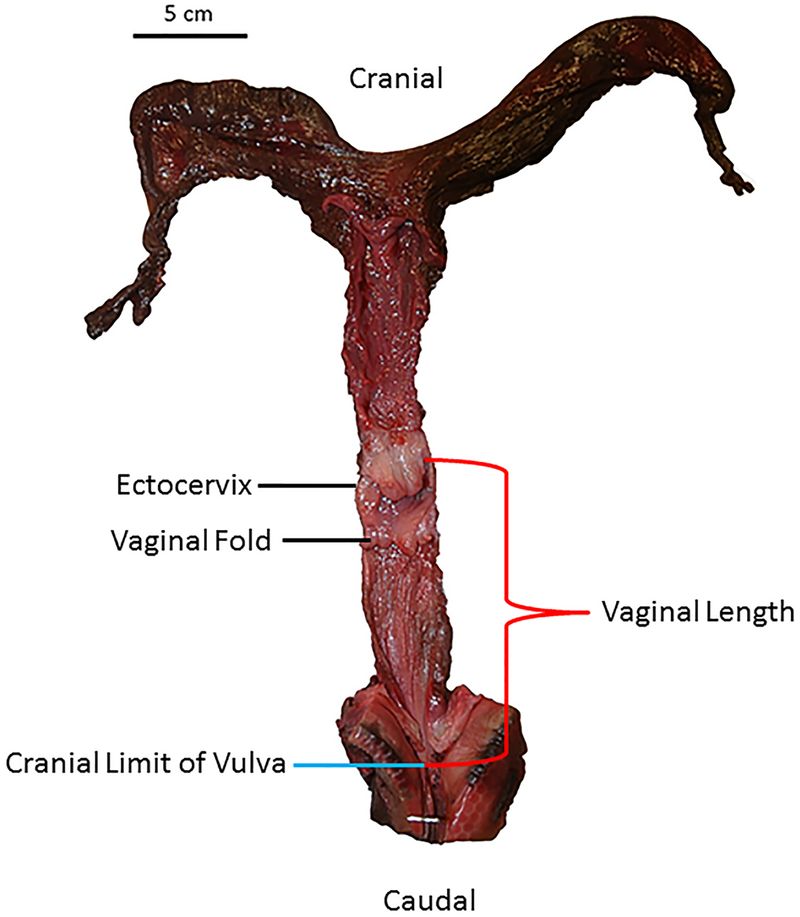 Image: Orbach et al